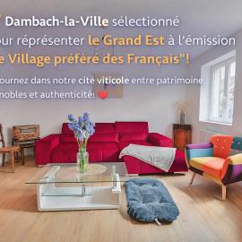 APPARTEMENT ELSA - Au Calme des Vignes - Parking privatif & Animaux Bienvenus