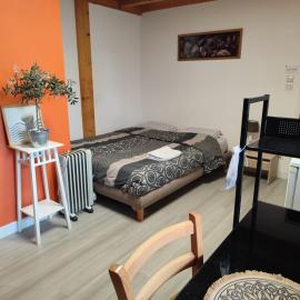 Chambre avec salle d'eau et toilette privées