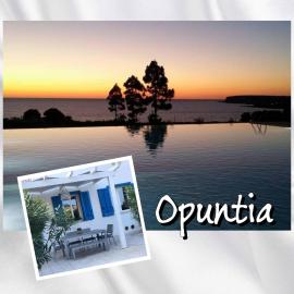 Opuntia Cala Azzurra Macari