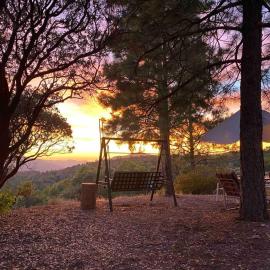 Cozy Woodworker's Cabin, 26 miles to Yosemite!, hotelli kohteessa Midpines