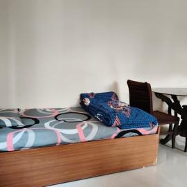 Tathwade 1bhk prolife