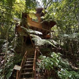 Casa na Árvore, hotel v destinácii Rio dos Bugres