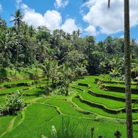 Gongwi Cottages Sidemen
