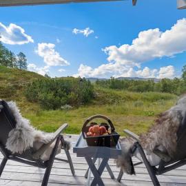 Leilighet på Hovden: Bykle şehrinde bir otel