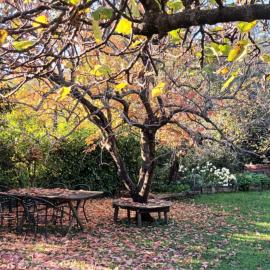 A lovely house in Vipava valley, Hotel in Vipava