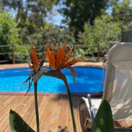 Villa ranch, piscina privata e parcheggio gratuito