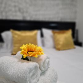The Bello Lodging B, hotel v destinácii Sonsonate