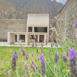 El Nidito Casa, hotel in Chilecito