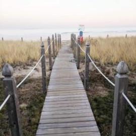Across the street from the Beach Pet Friendly