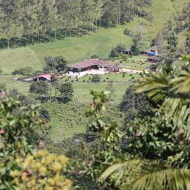 Finca La Playa Ecohotel - Experiencia Campestre -: Salento'da bir otel