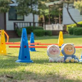 Pocheon luxjay pet Pension, khách sạn ở Pocheon
