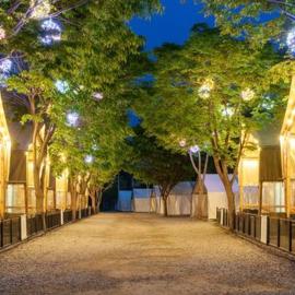Gapyeong High Mong Glamping & Camping