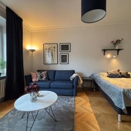Cozy 1-bedroom apartment that sleeps 4 people #1201
