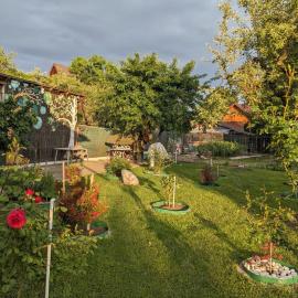 Thee&Thou Cottage
