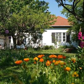 Villa Old Almond
