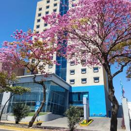 Intercity Tower Hotels, hotel in San Pedro Sula