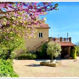 La Fonte e l Ulivo