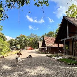 Ecoparque Águas brancas, hotel u gradu Três Coroas