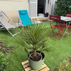 Appartement Cosy avec jardin privatif et garage, hotel in Fontainebleau