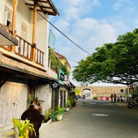 Ayubowan Home