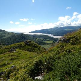 Abergwynant Farm Holidays with BBQ Hut Available To Hire, khách sạn ở Dolgellau