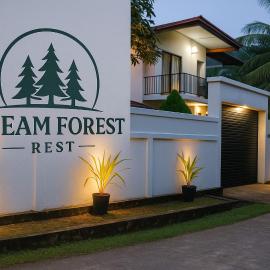 Dream Forest Rest
