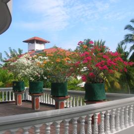 Sagarika Beach Hotel, hotel di Moragalla