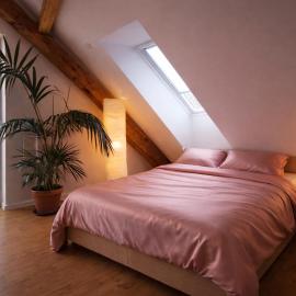 Das Zollhaus Penthouse Da Vinci nahe Schweiz in Klettgau