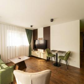 Le Premium-Prestige Residence Euroairport, hotel en Hésingue