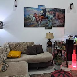 Vibes Home Stay