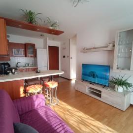 Elena's apartment