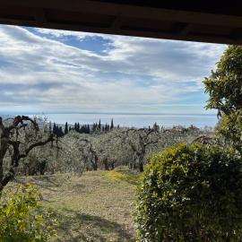 Villa Cà Bottura agli ulivi