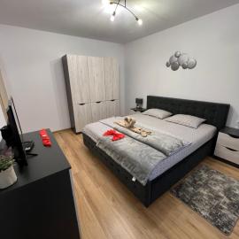 Emanuela Apartments, hotell i Pecica