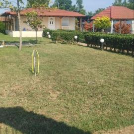 Dinas house 3