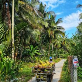 Green Coconut Island, hotel in Ấp Thới Hòa (3)