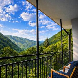 White House In Borjomi, hotel u gradu 'Borjomi'