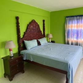 Reggae Moon Guesthouse, hotel in Falmouth