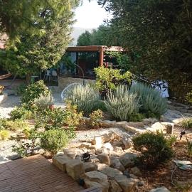 Little paradise