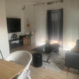 Appartement douillet, hotel di Mirefleurs