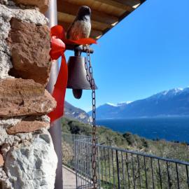 Casa del Codirosso, Hotel in Gargnano