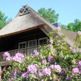 Ferienwohnung am Eichenpark, Lüneburger Heide, hotel a Egestorf