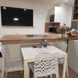 Haas Apartments Slepa, city centre, parking, courtyard