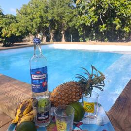 Gite Jardin tropical de st Francois