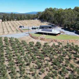 The Olive Leaf Retreat, hotel in Latrobe