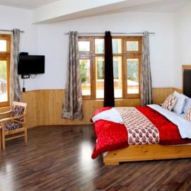 Glacier View Guest House, hotel in Leh