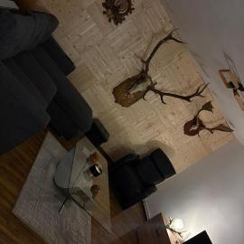 Cabana Trofelor, hotel em Comandău