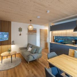 Ferienhaus Dresselbach - Wohnung 04 "Schluchseeblick" in Schluchsee für 6 Personen، فندق في سشلوشسي