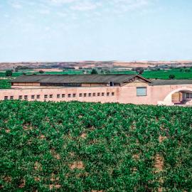Alojamiento rural Solterra, hotel a Roa