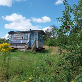 EcoPod Holidays, hotel Altonban