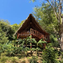 Itsalifestyle Jungle Cabana